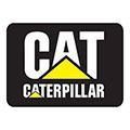 Caterpillar